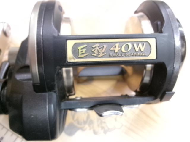 巨鯉 40W