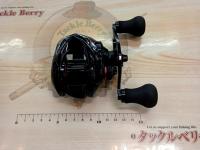 17炎月BB 100HG