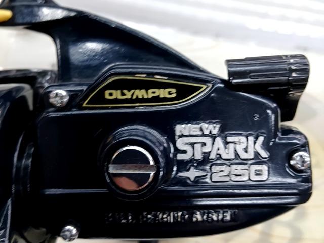 ニュースパーク250