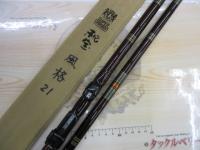風格 21