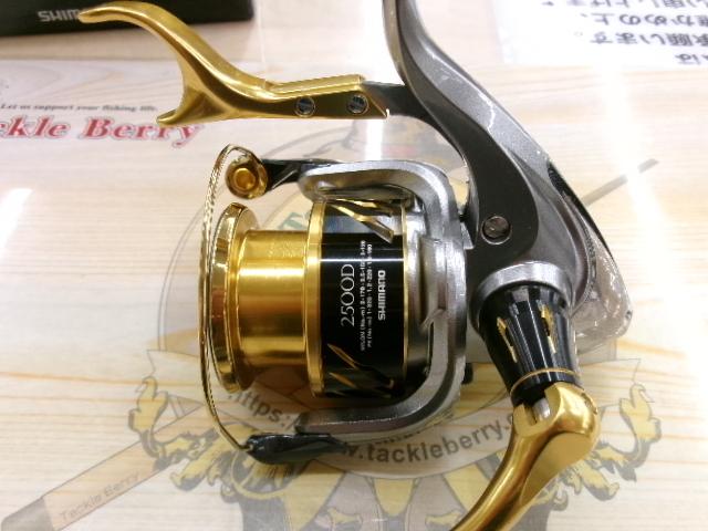 16BB-Xデスピナ C3000DTG