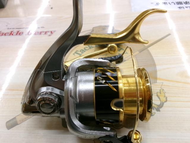 16BB-Xデスピナ C3000DTG
