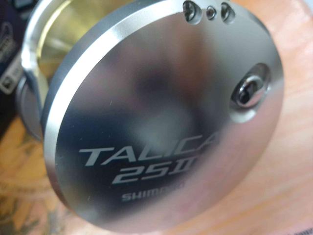 タリカ 25Ⅱ