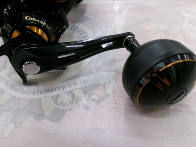 21ビーストマスター 3000EJ