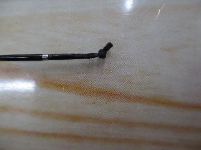 普天元 獅子吼 12