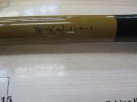 普天元 21