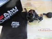 マックスDLC BG H