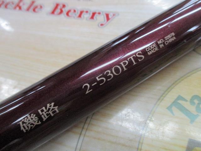 磯路 2-530PTS