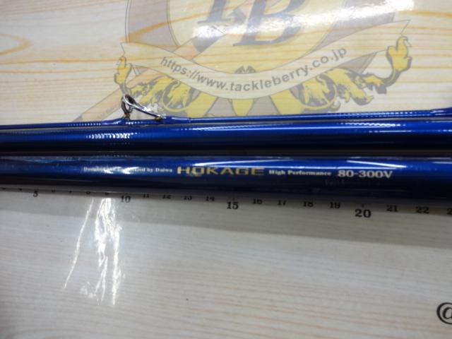 ホカゲ 80-300V