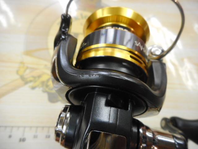 22サハラ 500