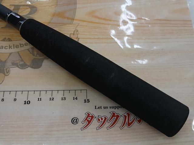 レマーレスティック船195M