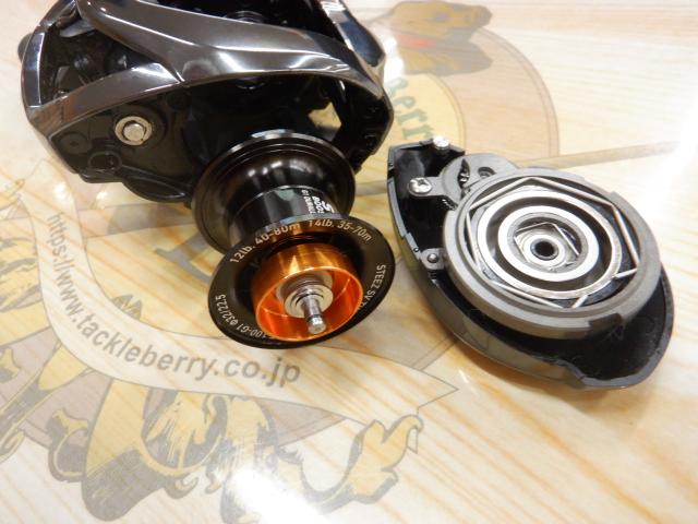 24スティーズ SV TW 100