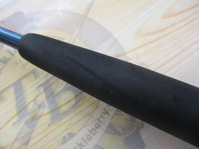 青龍竿 舞 270Ⅰ