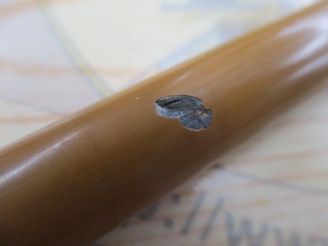 世紀白扇 570