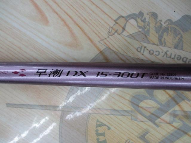 IG早潮DX 15-300T