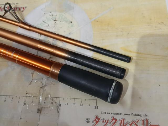 キャスティズム 20-365