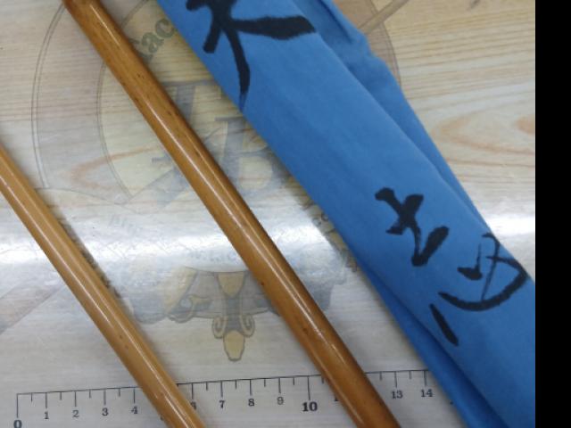 天志10.1