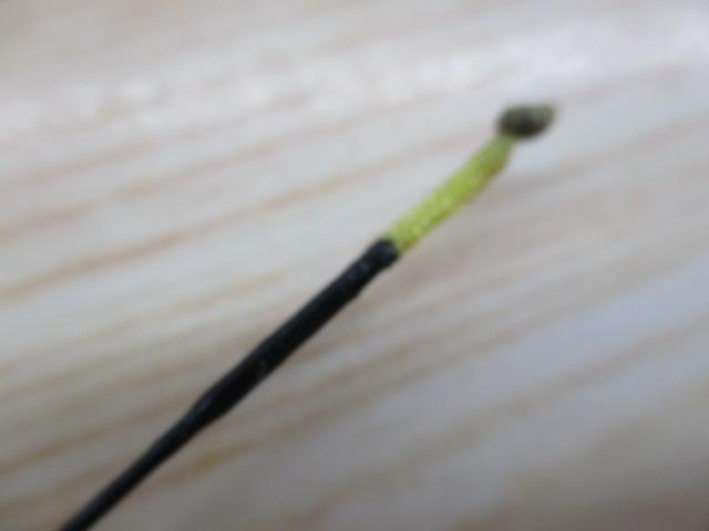 湖畔