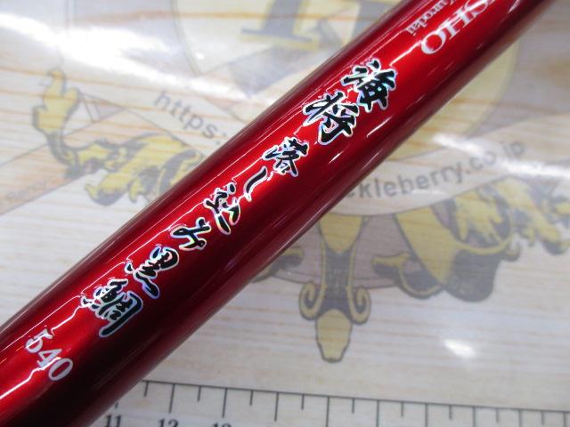 CB海将落とし込み黒鯛540