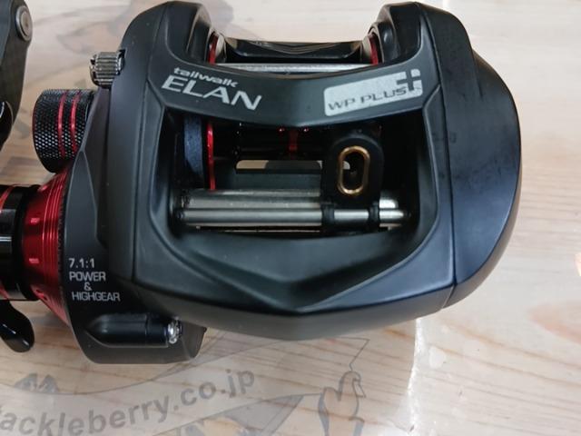 エランワイドパワープラス 71R