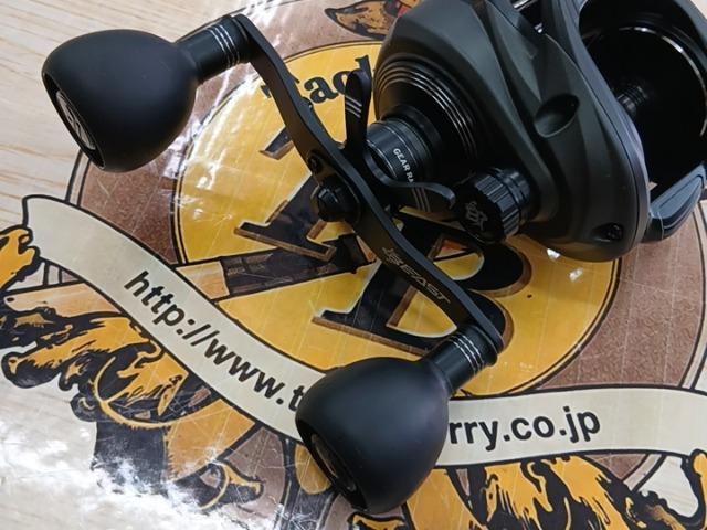 ビースト 300LPHS-L