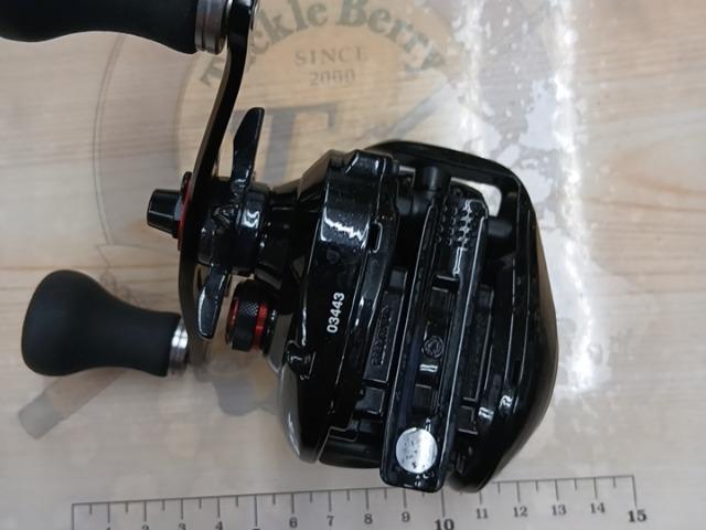 15炎月CT 100PG