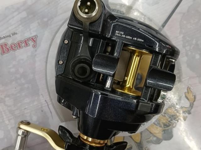 15レオブリッツ 300J