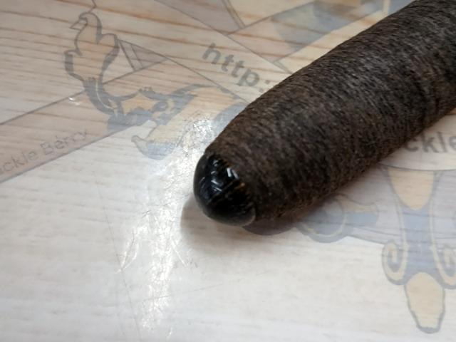 惜春 9