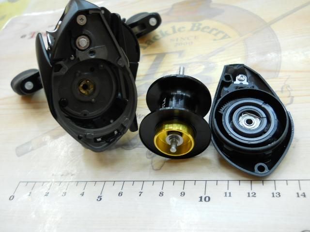 24タトゥーラ TW 100XHL