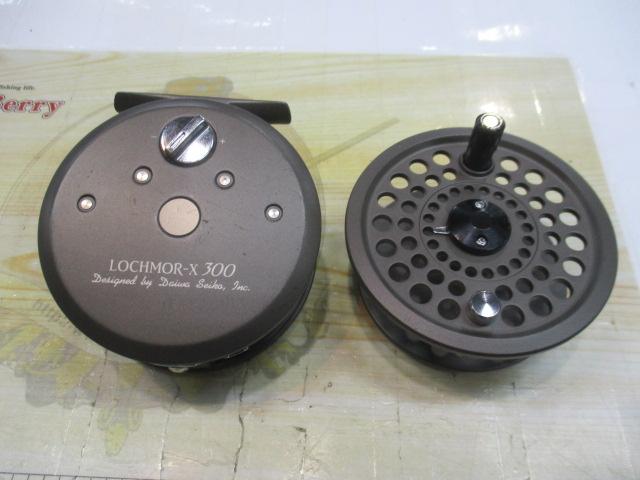 ロッホモアX 300